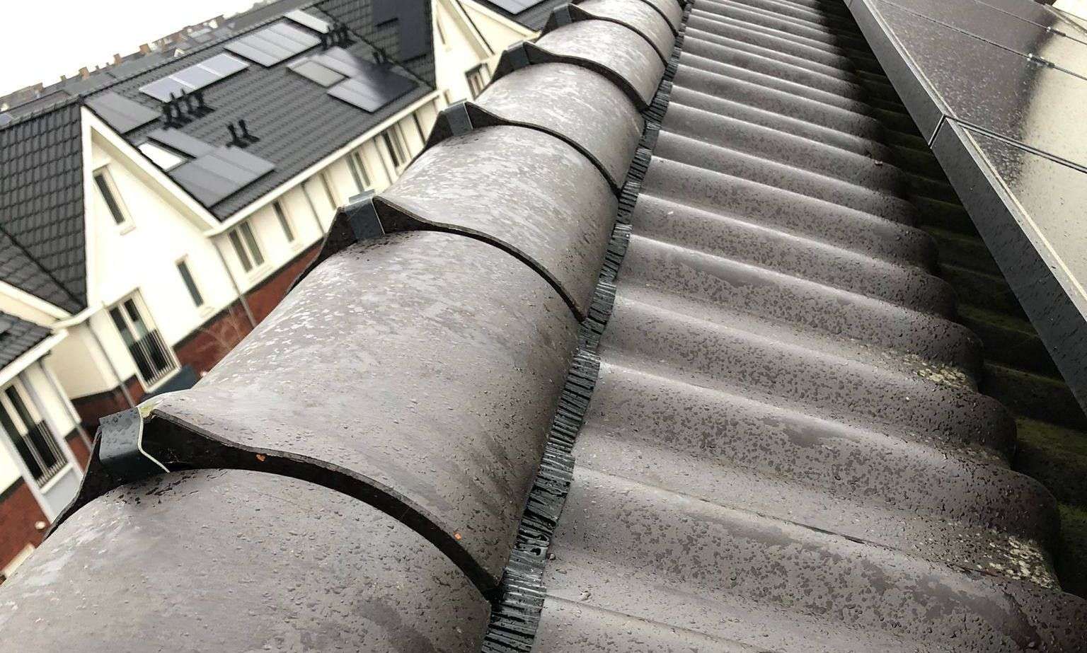 Nieuwe nokvorsten geplaatst in 026